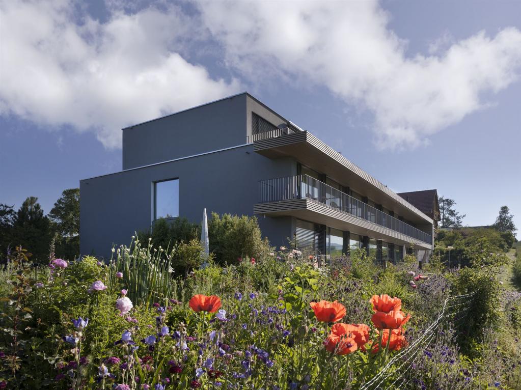 Neubau 2011